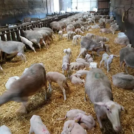 Casteljosse - Nature Calme Et Serenite Viala-du-Tarn