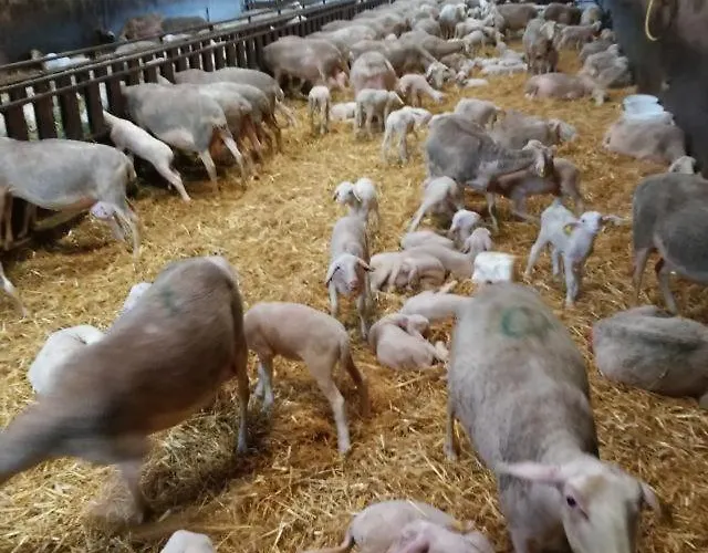 Casteljosse - Nature Calme Et Serenite Viala-du-Tarn